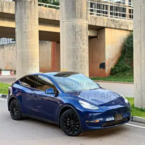 Tesla Model Y 75D kWh Performance 2023 Blue
