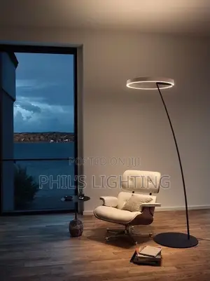Light Luxury Minimalist Fishing Lamp