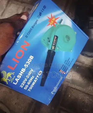 Electric Air Blower
