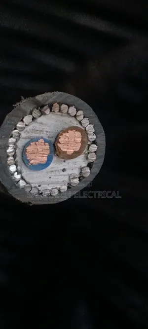 10mm 2core PVC Swa Xlpe PVC Armoured Cable