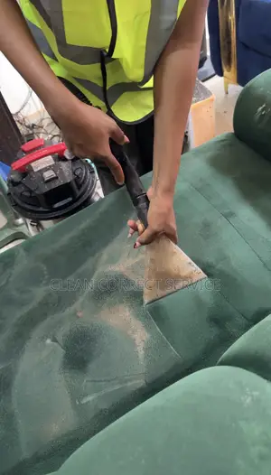 Sofa Cleaning Service