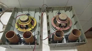Samsung Naked Speakers With Front Covers