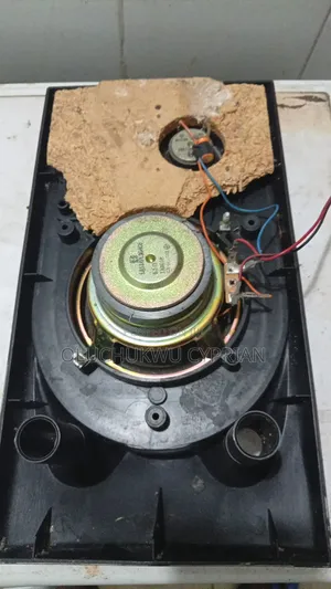 Panasonic Naked Speaker With Front Cover.