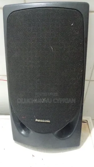 Panasonic Naked Speaker With Front Cover.