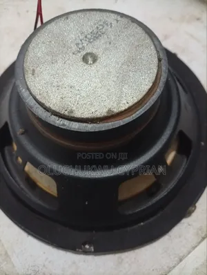 LG Naked Woofer Speaker