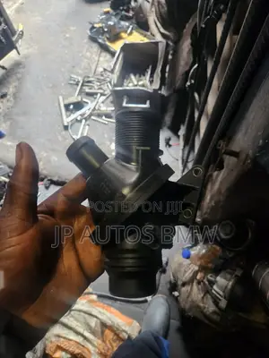 BMW Thermostats N20 Engine