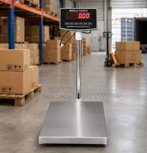 300kg Stainless Digital Platform Scale Waterproof