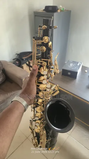 Soleil Alto Saxophone
