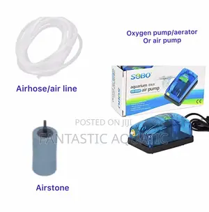 One Outlet Airpum With One Meter Airline and Airstone