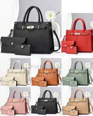 3 in 1hand Bag