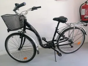 Adult Lady Bicycle – Stylish Comfortable City Bike