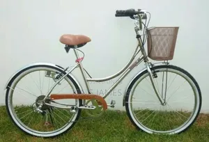 Premium Women Bicycle – Fashionable Reliable Ride