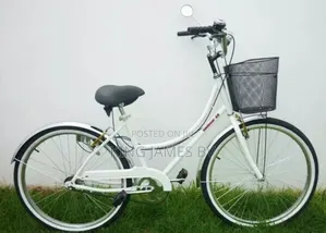 Ladies City Bicycle – Comfortable Urban Transportation