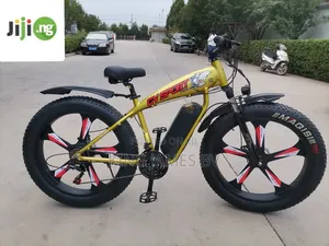 Big Cat Electric Bicycle – Powerful Comfortable Electric Ride