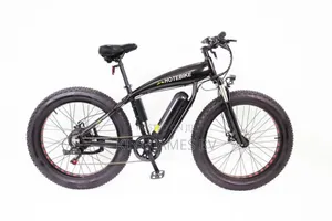 Big Cat Electric Bike – Premium Smart Transportation Solution
