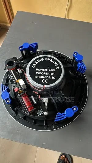 Dart Frameless 40w Passive Ceiling Speaker