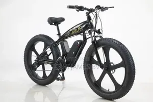 Big Cat Electric Bicycle – Stylish Power Bike for Adventure
