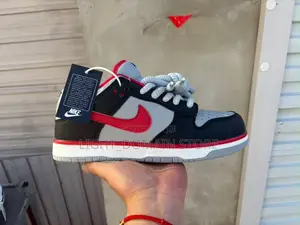 Premium Nike Dunk Low 2
