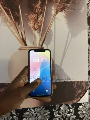 Apple iPhone 11 Pro Max 64 GB Gray