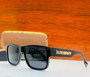 Burberry Quality Luxury Men Sunglasses