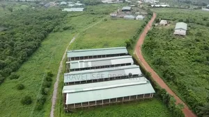 C of O Certificate Farms in Epe Lagos