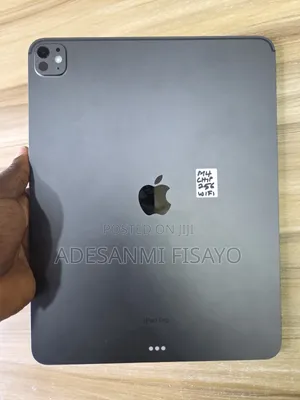 Apple iPad Pro 13 (2024) 256 GB Gray