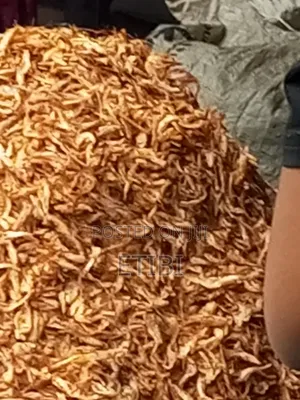 Crayfish for Sale