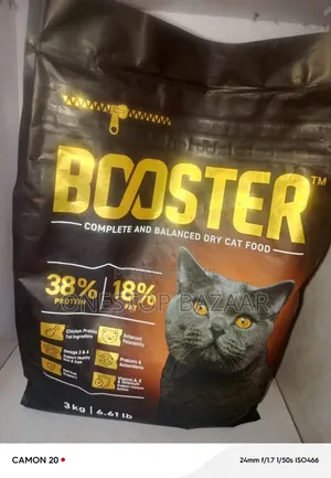 Cat Food Cat and More