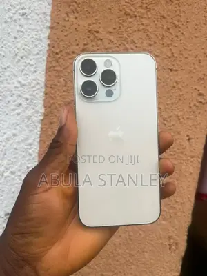 Apple iPhone 14 Pro Max 256 GB Silver