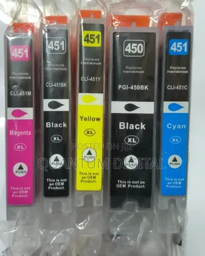Compatible Canon 450/451 Ink Cartridges