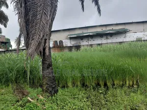 30ft by 120ft Isheri Bokuno Bridge Festac Link Road