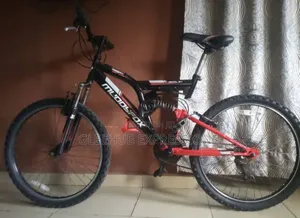 Size 24" Unisex Mountain Bike