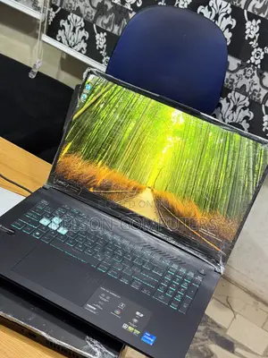 Laptop Asus TUF Gaming F17 16GB Intel Core i5 SSD 1T