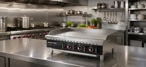 Giant Size Electric Griddle