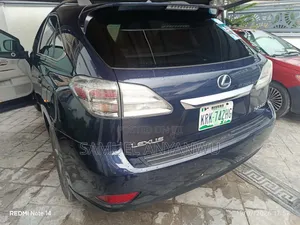 Lexus RX 2010 Blue