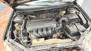 Toyota Corolla 2007 Gray