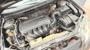 Toyota Corolla 2007 Gray