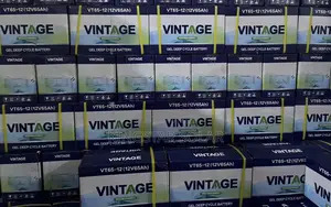 65Ah 12V Vintage Deep Gel Cycle Battery