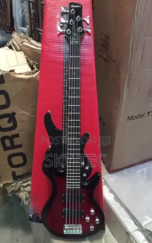 Professional Shekina 5-Strings Bass Guitar Passive