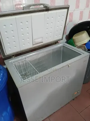 Electric Freezer