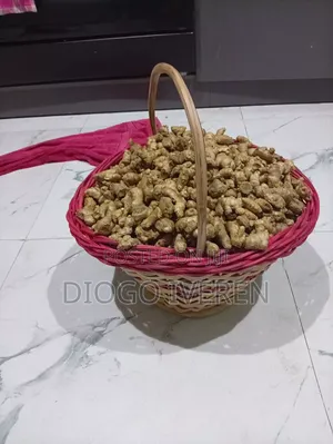 Fresh Benue Spicy Ginger