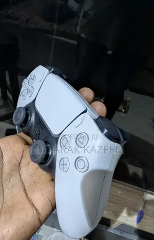 PS5 Dualsense