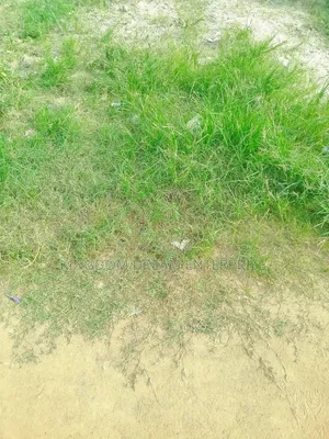 931sqm Land in a Secured Neighborhood Off Agbe Road Abulegba Lagos