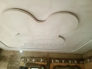 Suspended Ceiling and Plaster Board