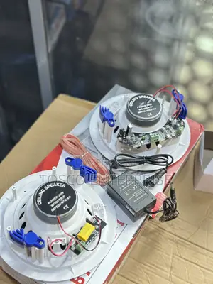 Dart 2in1 Frame 2x20w Bluetooth Ceiling Speaker