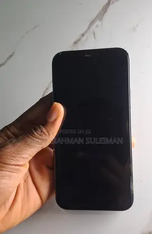 Apple iPhone 12 Pro 256 GB Gray
