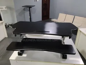 Adjustable Sit-Stand Desk
