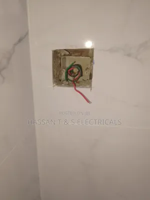 Professional Electrician