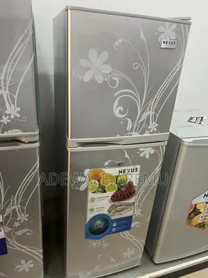 Nexus 145litres Fridge Silver With Flower Design Nx-175