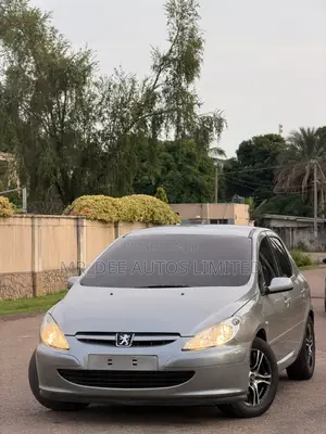 Peugeot 307 2007 Silver